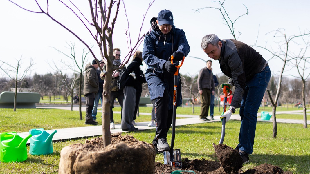 Около 1,7 миллиона человек стали участниками городского субботника в Москве