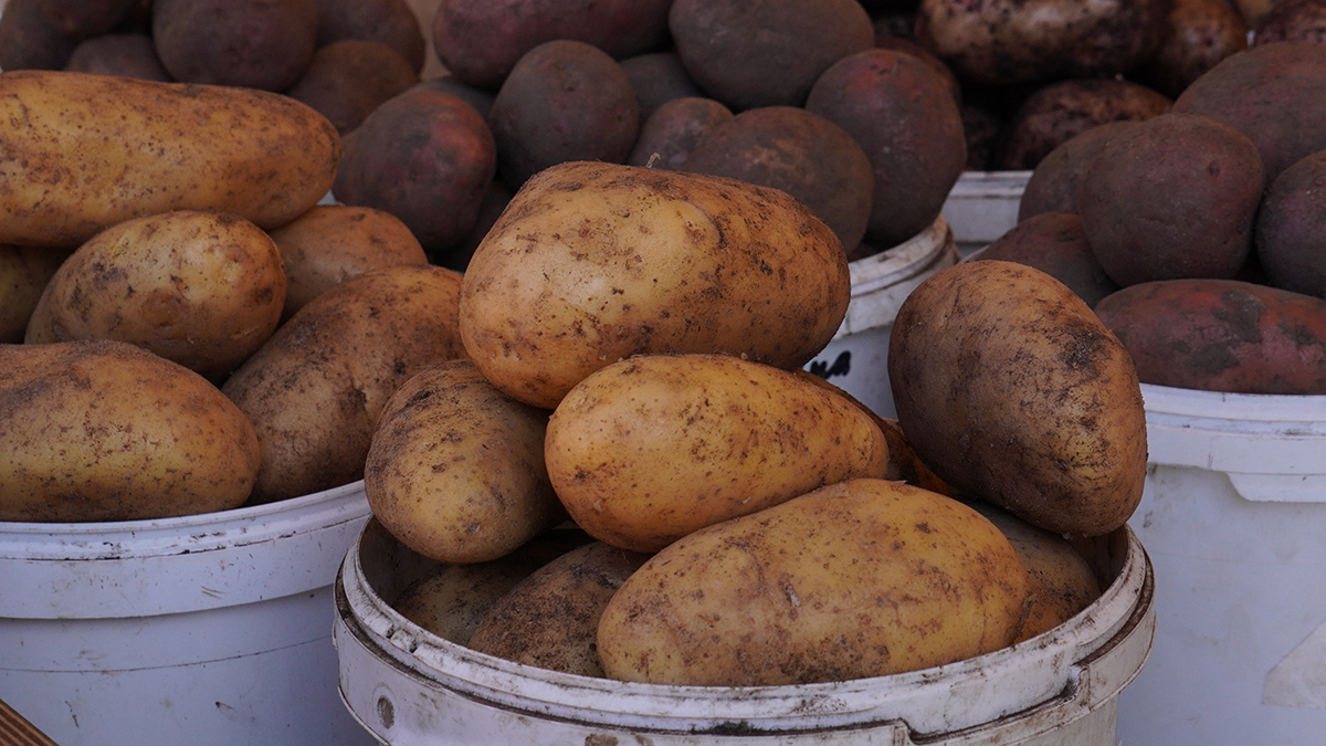 Депутат Чернышов призвал к госрегулированию цен на картофель