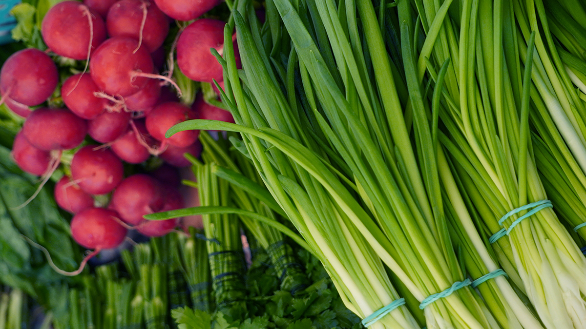 Педиатр Макарова объяснила, почему нельзя держать детей на веганской диете