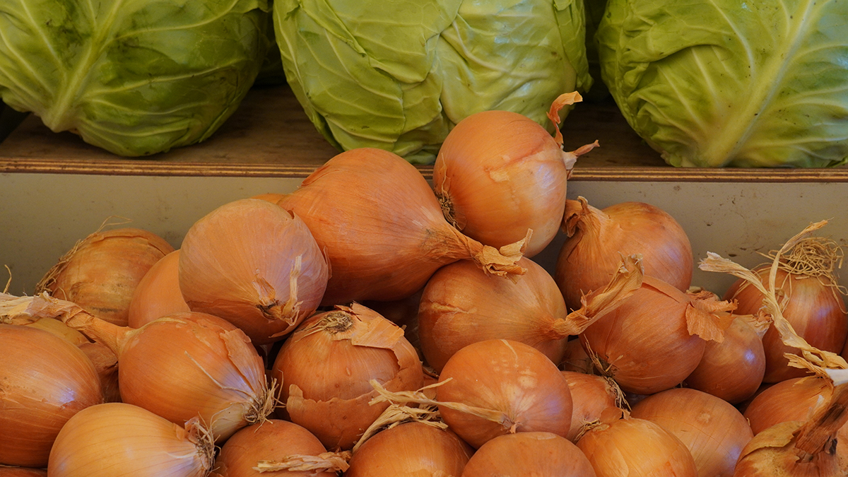 Автомобилистам рекомендовали полировать фары луком