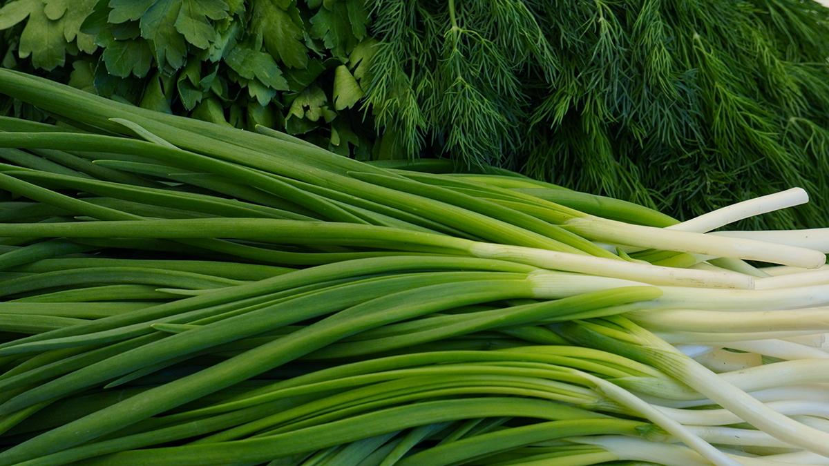 Доктор Мясников раскрыл опасность частого употребления зелени
