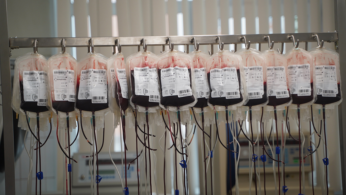 Врач Продеус пояснил, кто не может стать донором крови