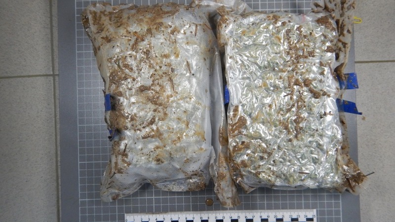 Полицейские изъяли два пакета с марихуаной у наркоторговцев в подмосковном лесу