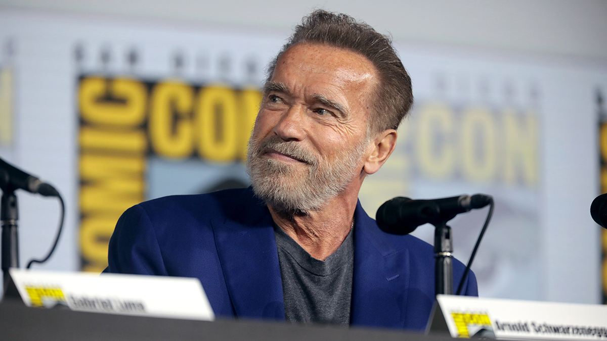 Жители города Мамоново попросили избавиться от «головы Шварценеггера»