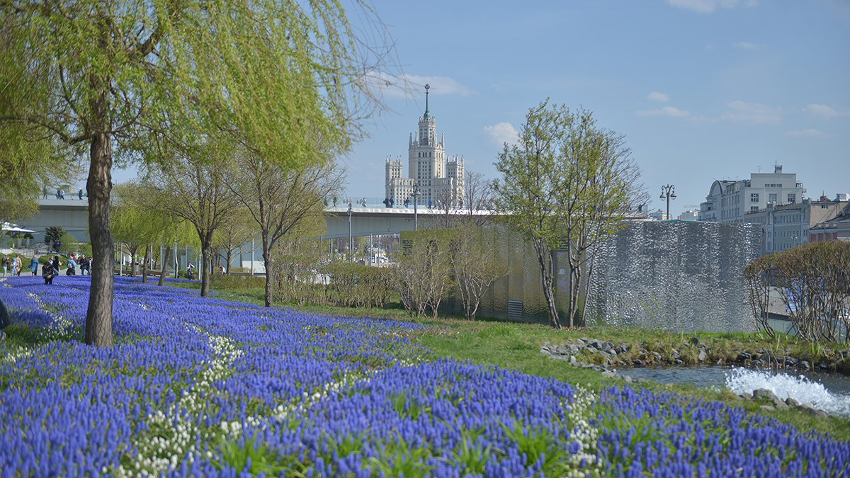 Неделя финансовой грамотности пройдет в парке «Зарядье» в рамках МУФ
