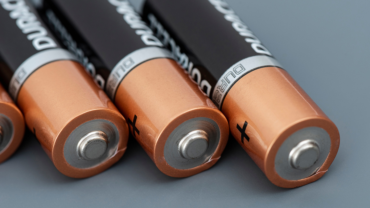 Фотоаппараты Canon и батарейки Duracell включили в перечень параллельного импорта