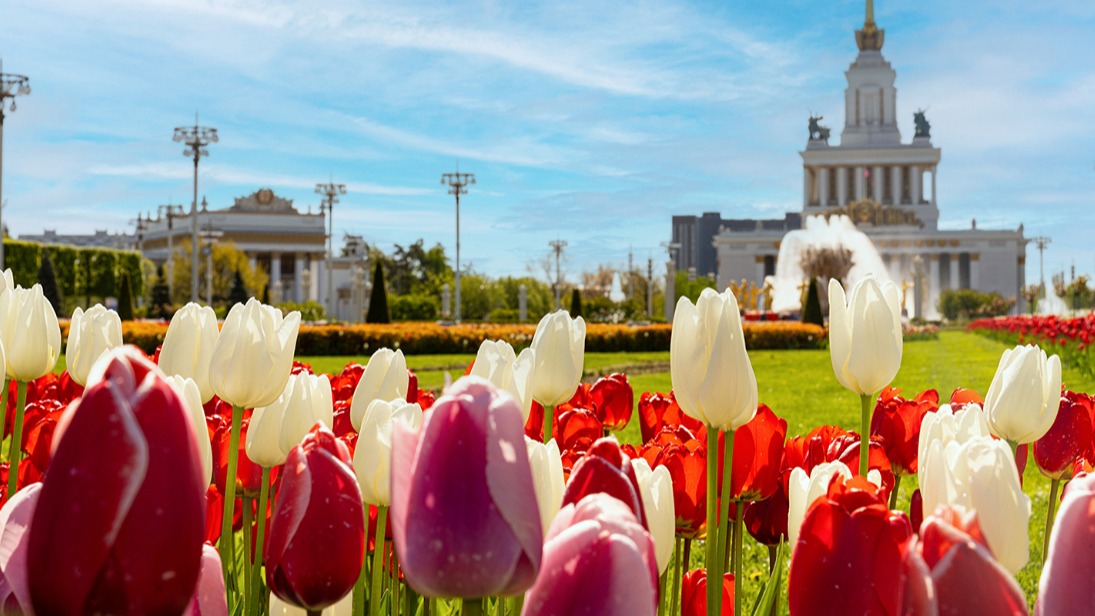 Более миллиона цветов распустится этой весной на ВДНХ