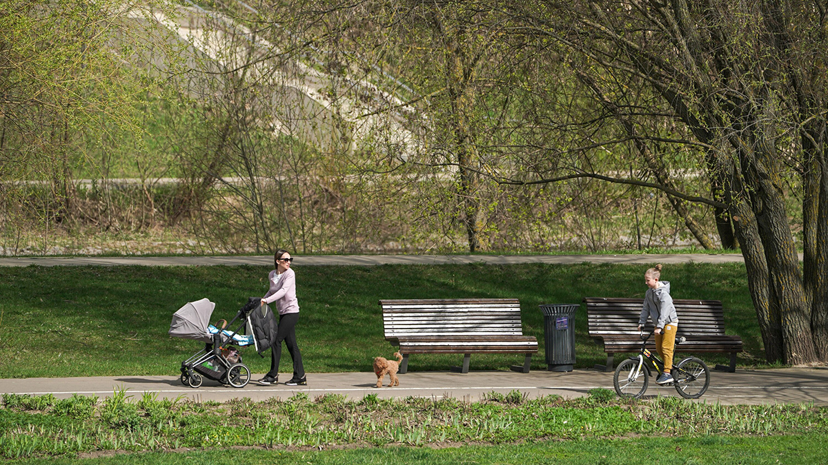 В поселении Внуковском благоустроят вход в Ульяновский лесопарк
