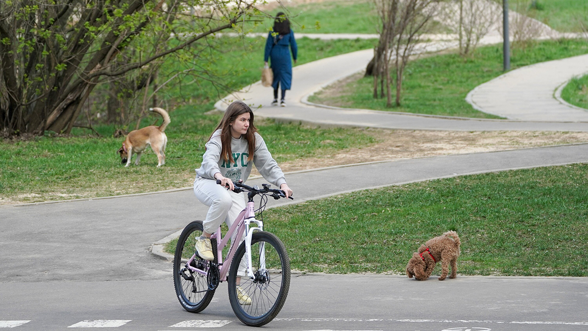 Синоптик Тишковец: В субботу в Москве зафиксировали июльское тепло