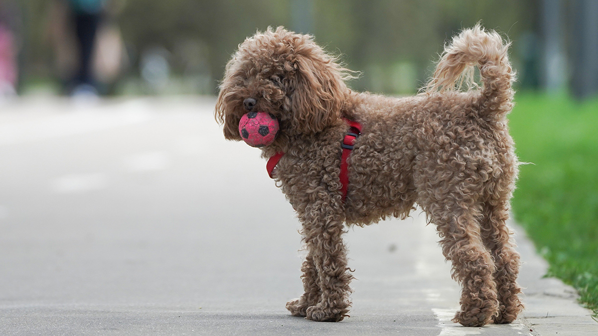 Москвичам рассказали о наступлении астрономической весны в Северном полушарии