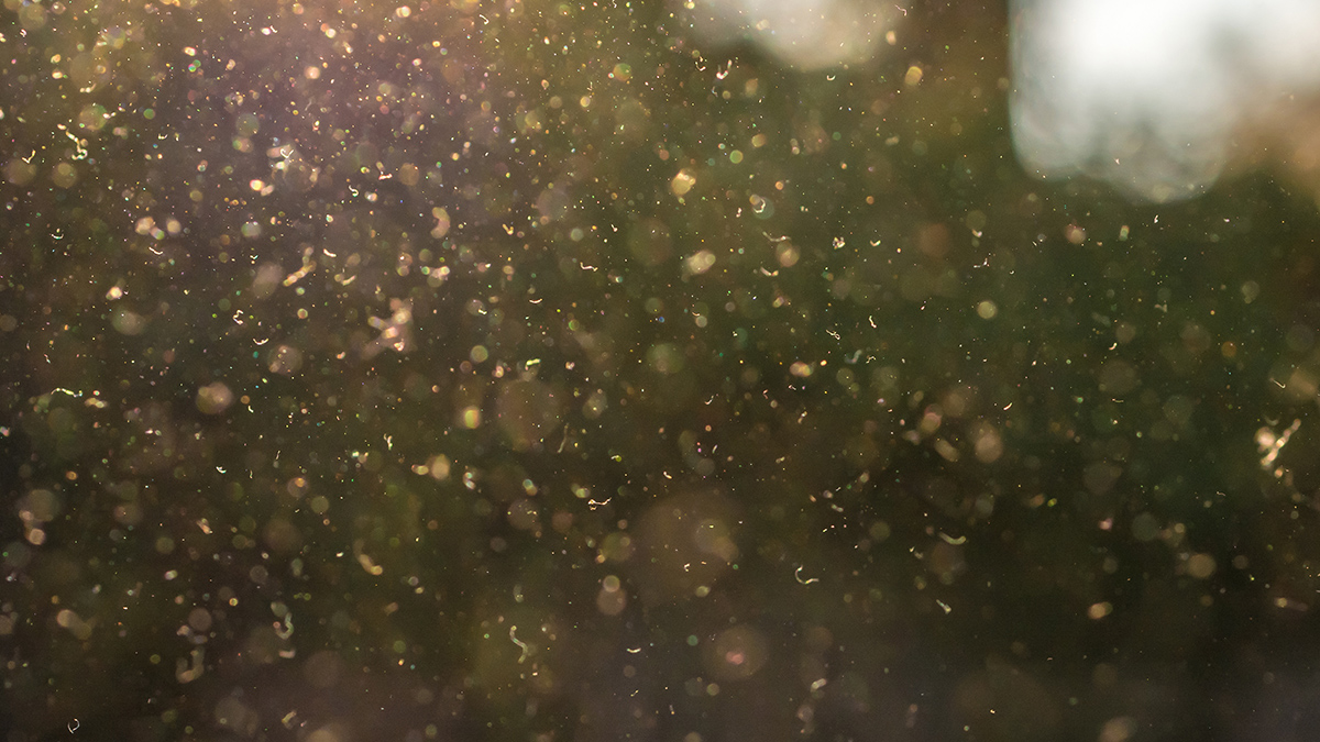 Аллергия и насморк могли стать причиной вымирания мамонтов