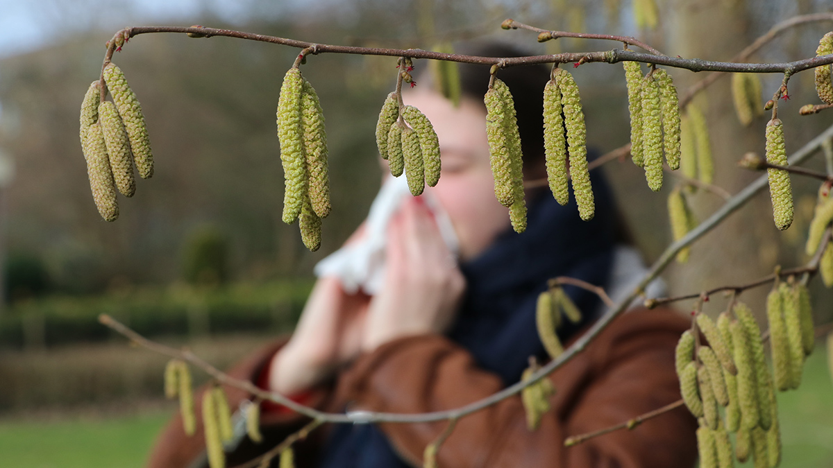 Врач объяснил, ждать ли аллергикам ухудшения самочувствия в майские праздники