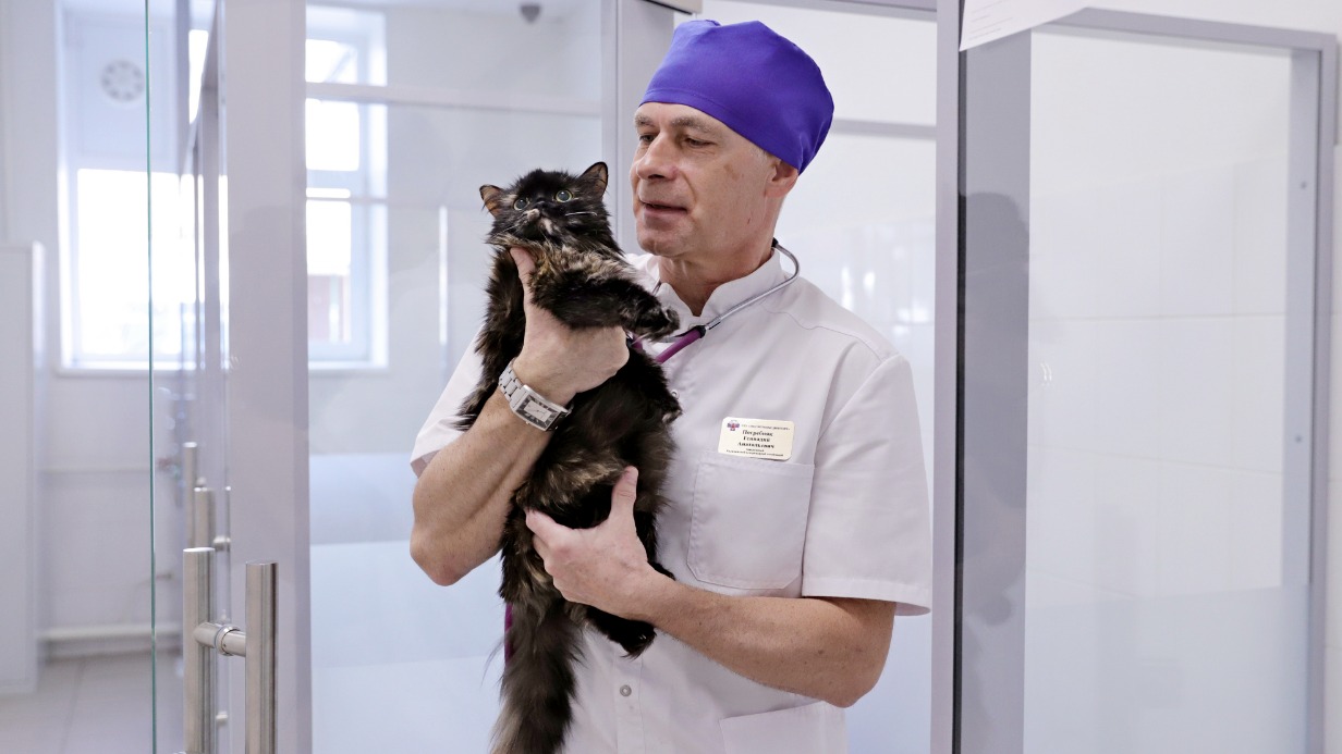 Ветеринарный врач Геннадий Погребняк держит на руках кошку по кличке Лиса — в новом круглосуточном стационаре животное на время своего отъезда оставили хозяева, потому что Лисе из-за эпилепсии нужен постоянный присмотр