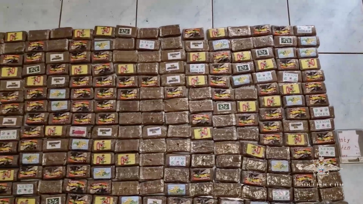 Полиция изъяла у семейной пары из Новой Москвы более 10 килограммов наркотиков