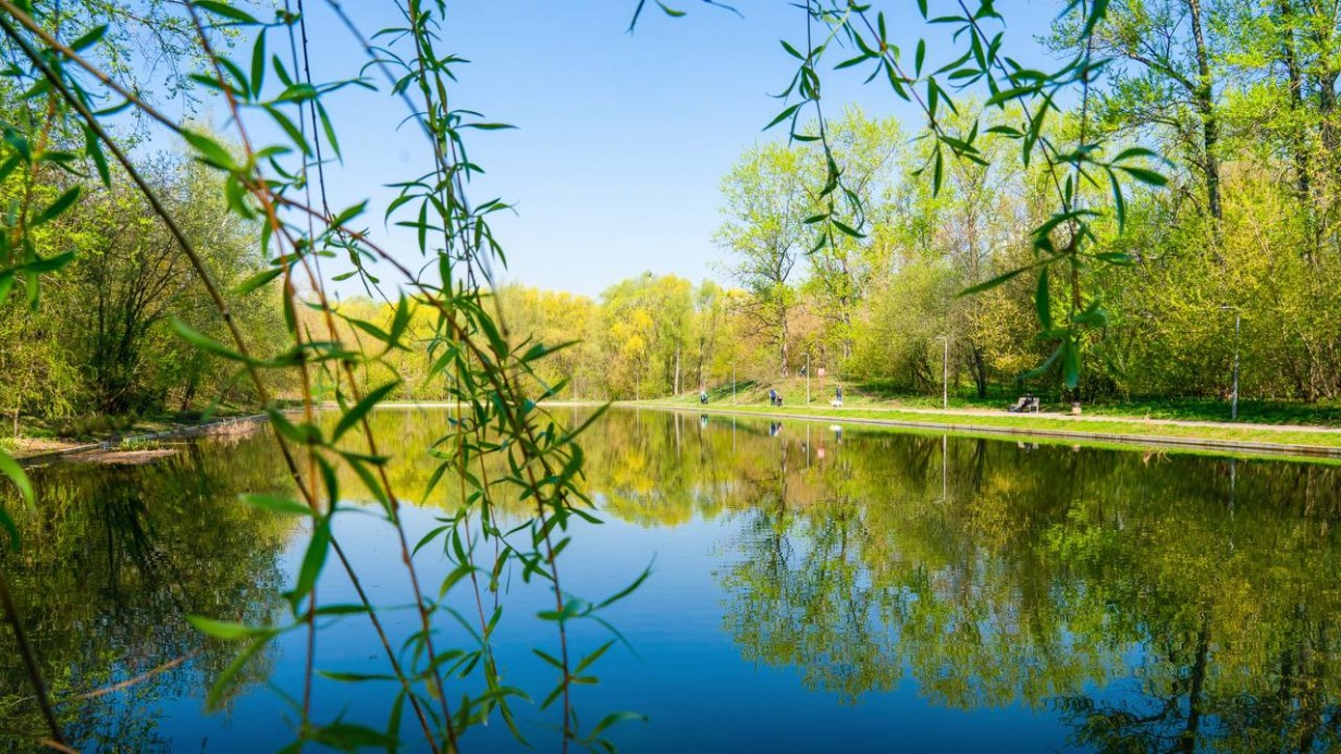 Собянин: Летом в Москве будет открыто 136 мест отдыха у воды