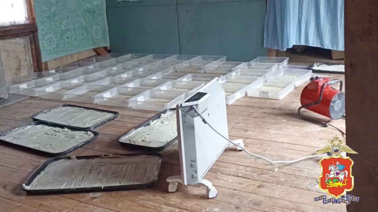 Полиция изъяла 83 килограмма наркотиков у иммигрантов в Шатурском районе Подмосковья