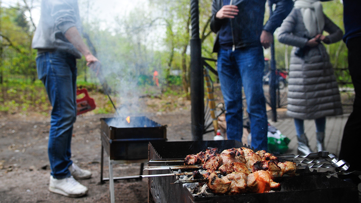 Врач Павлова: Сочетание шашлыка с водкой увеличит нагрузку на организм