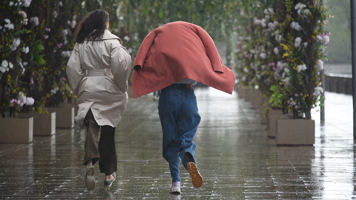 Погода в Москве 4 августа 2025