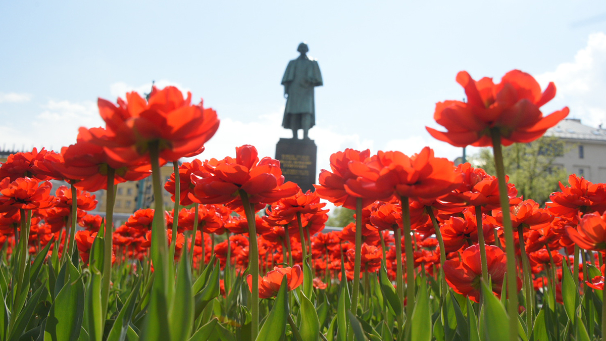 Выставки фотографий о транспортной логистике открылись на Никитском и Гоголевском бульварах