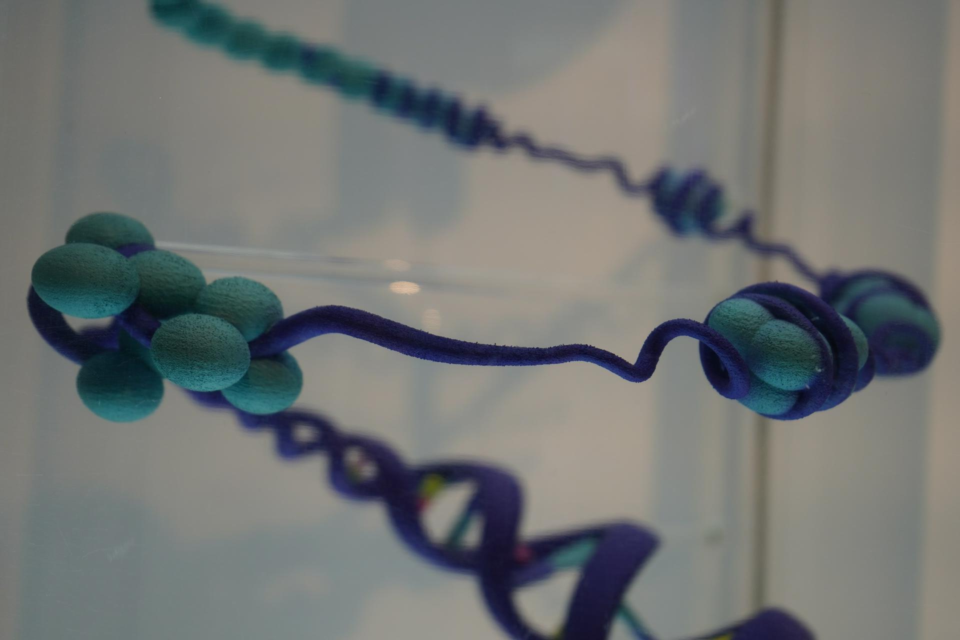 Анализ ДНК раскрыл новые детали детского жертвоприношения среди майя