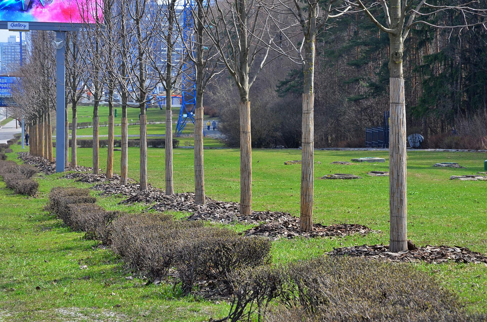 Эколого-патриотическая акция «Во имя любви, вечности и жизни» проходит в столице