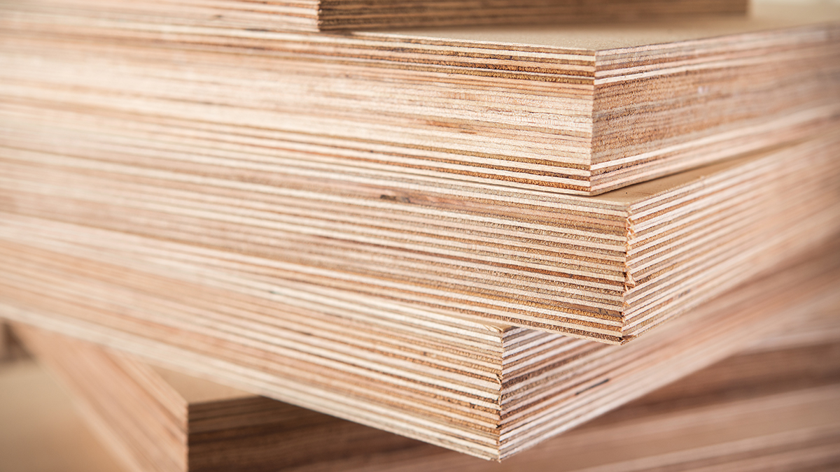 СМИ: В России возник дефицит ключевого компонента для производства фанеры 