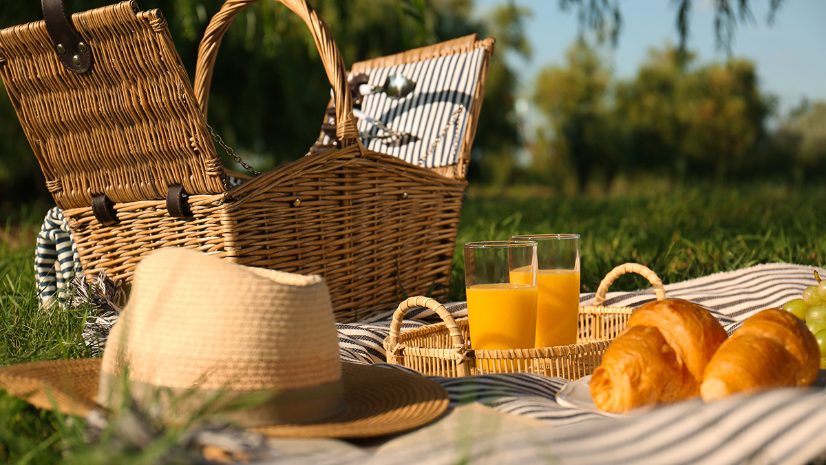 Инклюзивный пикник в честь Дня защиты детей пройдет в Москве 27 мая