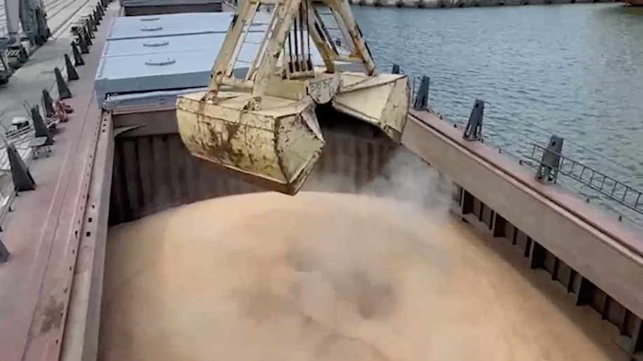 Первое судно с зерном загрузилось в порту Мариуполя