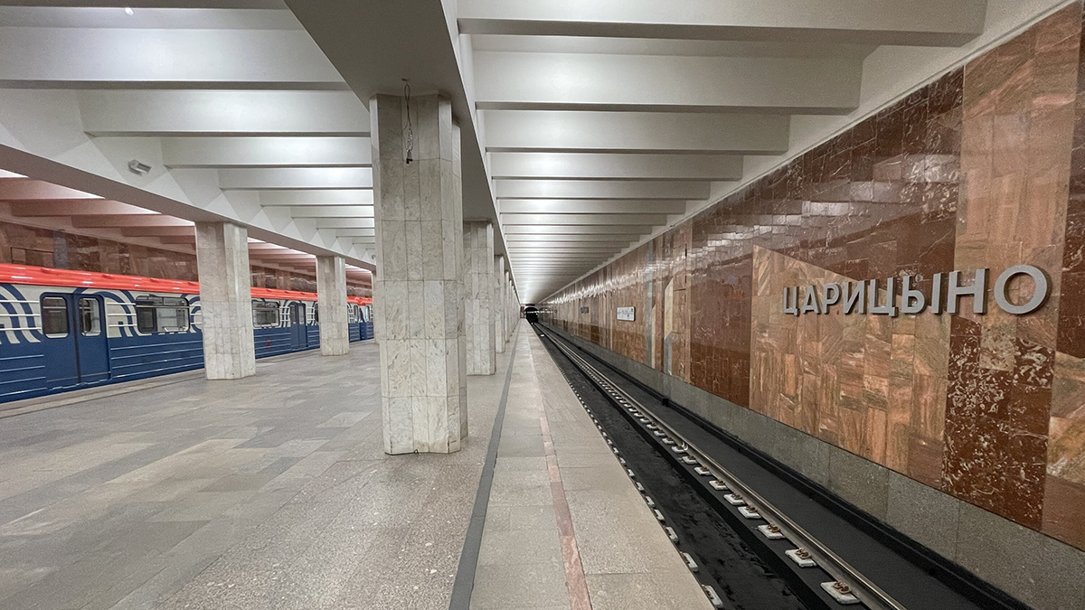 Избивший двух подростков на станции метро «Царицыно» задержан (видео) 