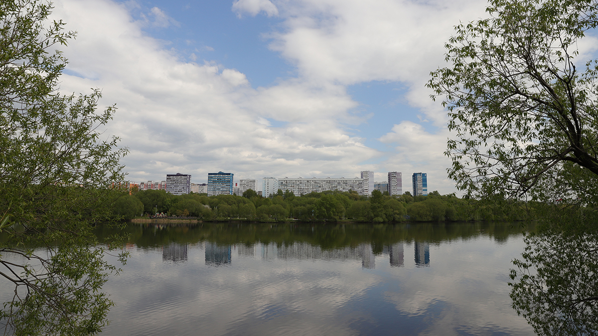 Воздух в Москве стал вдвое чище за десять лет