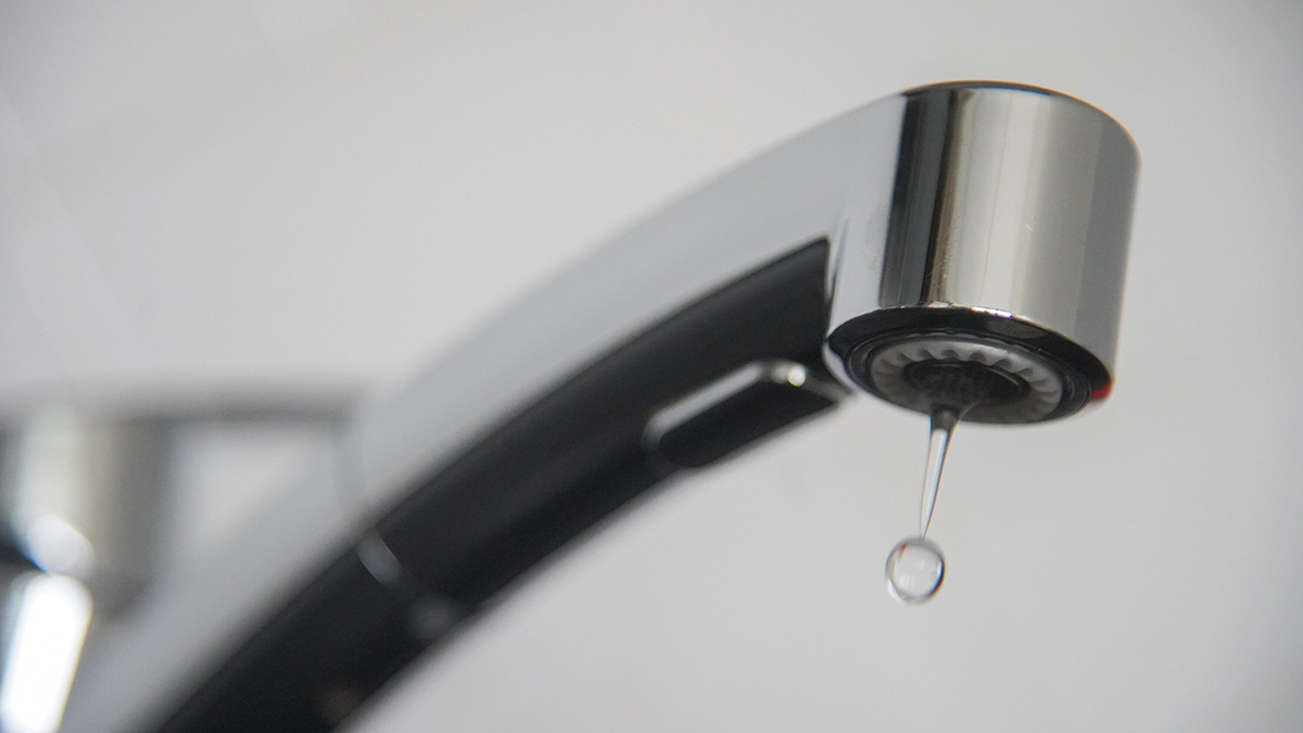 Паразиты съели мозг женщине, промывшей нос водой из-под крана