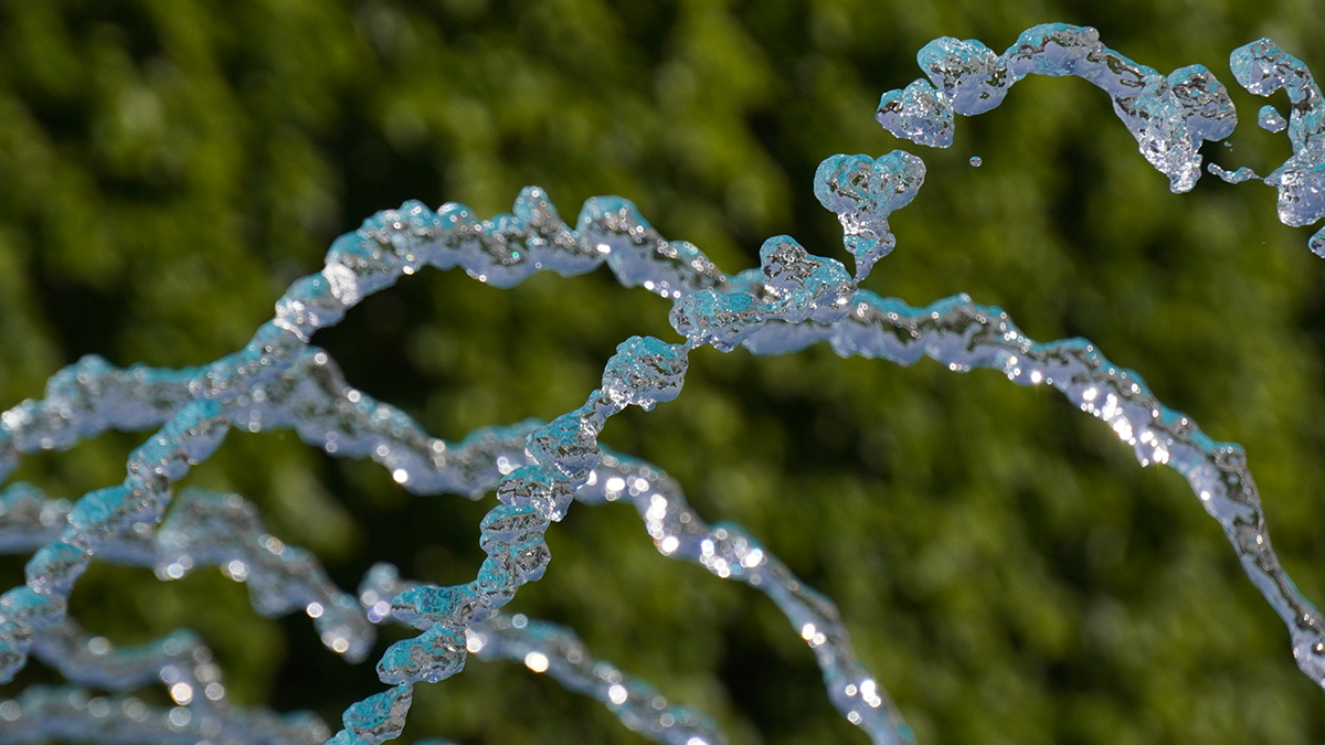 В Санкт-Петербурге допустили отключение фонтанов в день ВДВ из-за желающих «освежиться»