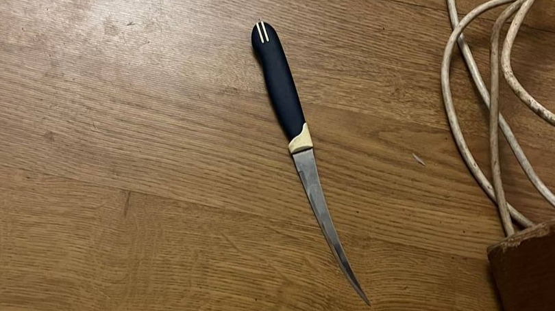 Молодой человек напал с ножом на пришедшего к нему домой инспектора ФСИН на юге Москвы