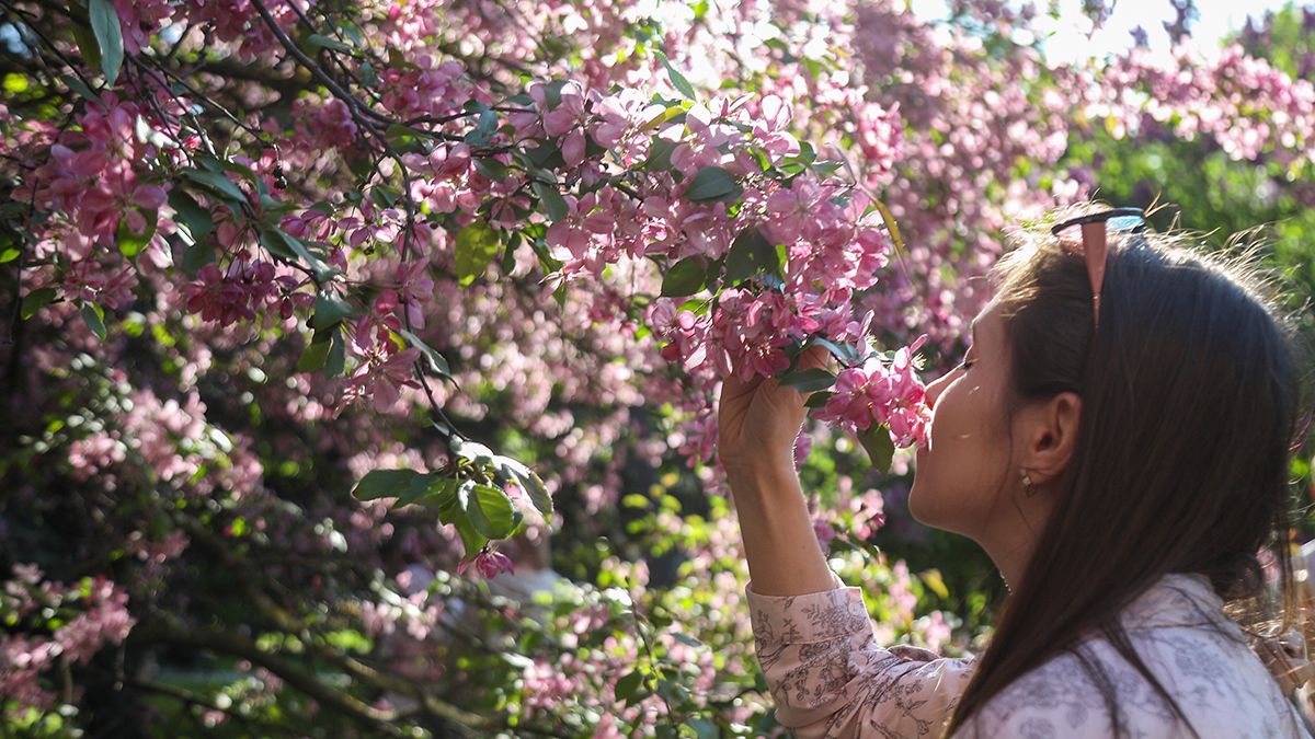 Праздники 25 июля