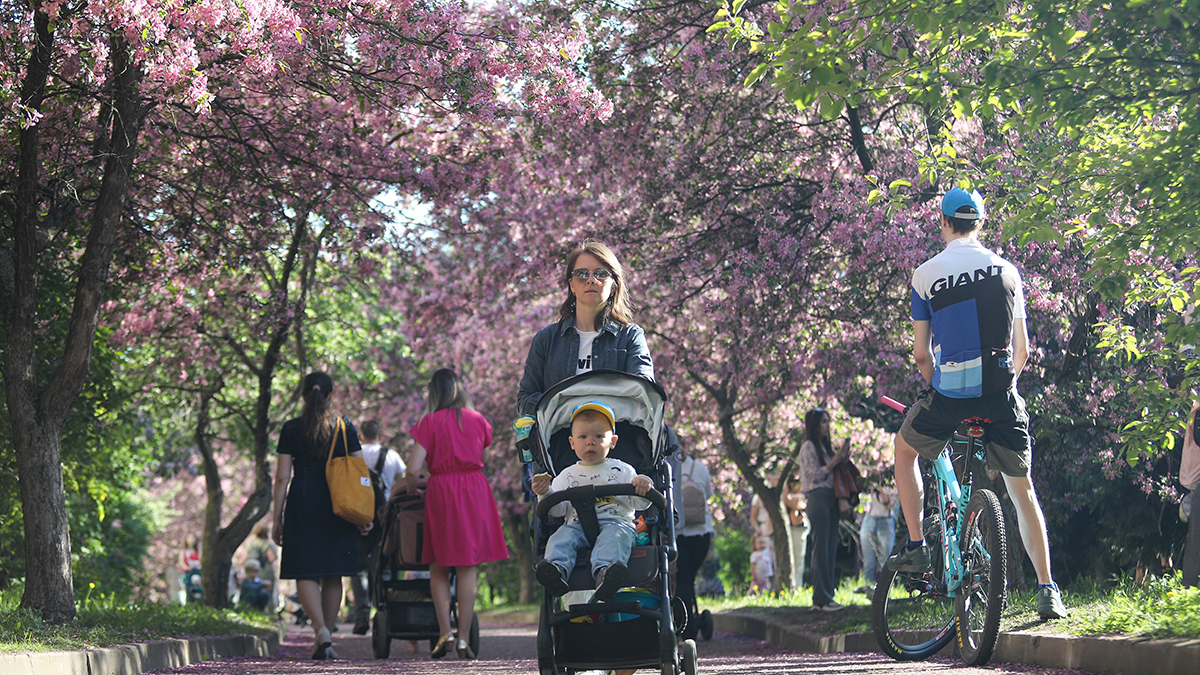 «На декаду раньше»: синоптики сообщили о приходе по-летнему теплой погоды в Москву 