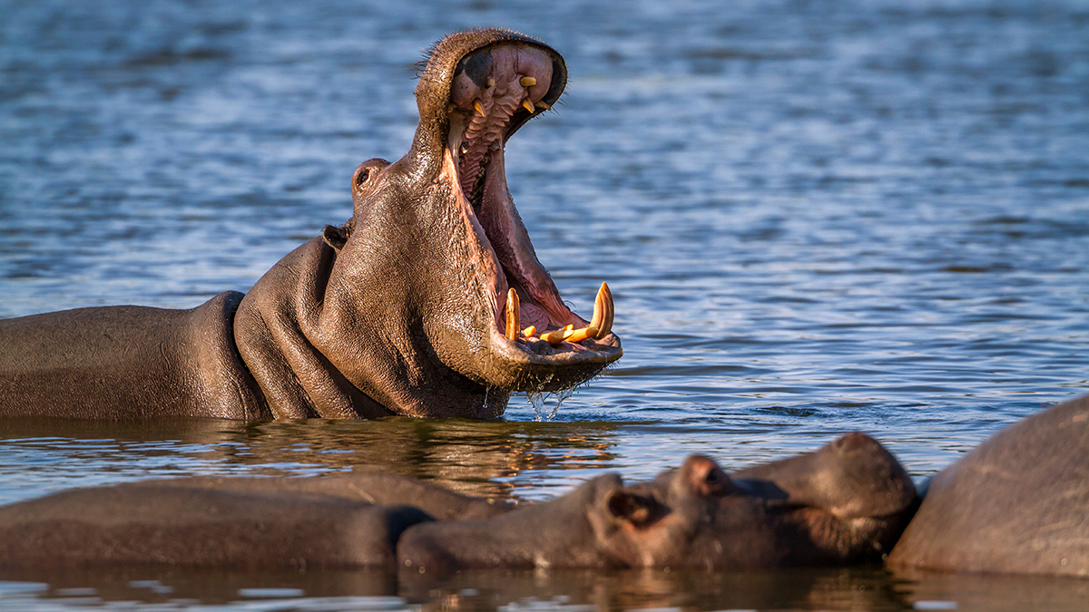 15 февраля: какие праздники отмечают