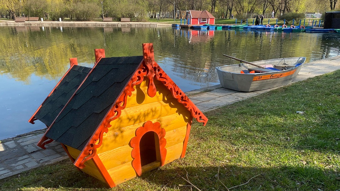 Столичные службы установили на водоемах почти 150 плавучих домиков для уток