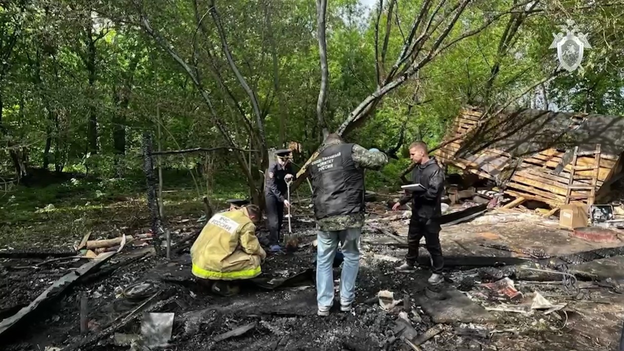 Подростки, которые заживо сожгли своего друга, могли действовать по указке  куратора