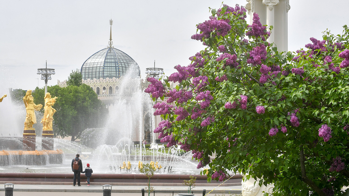 Выставка детских рисунков открылась на ВДНХ