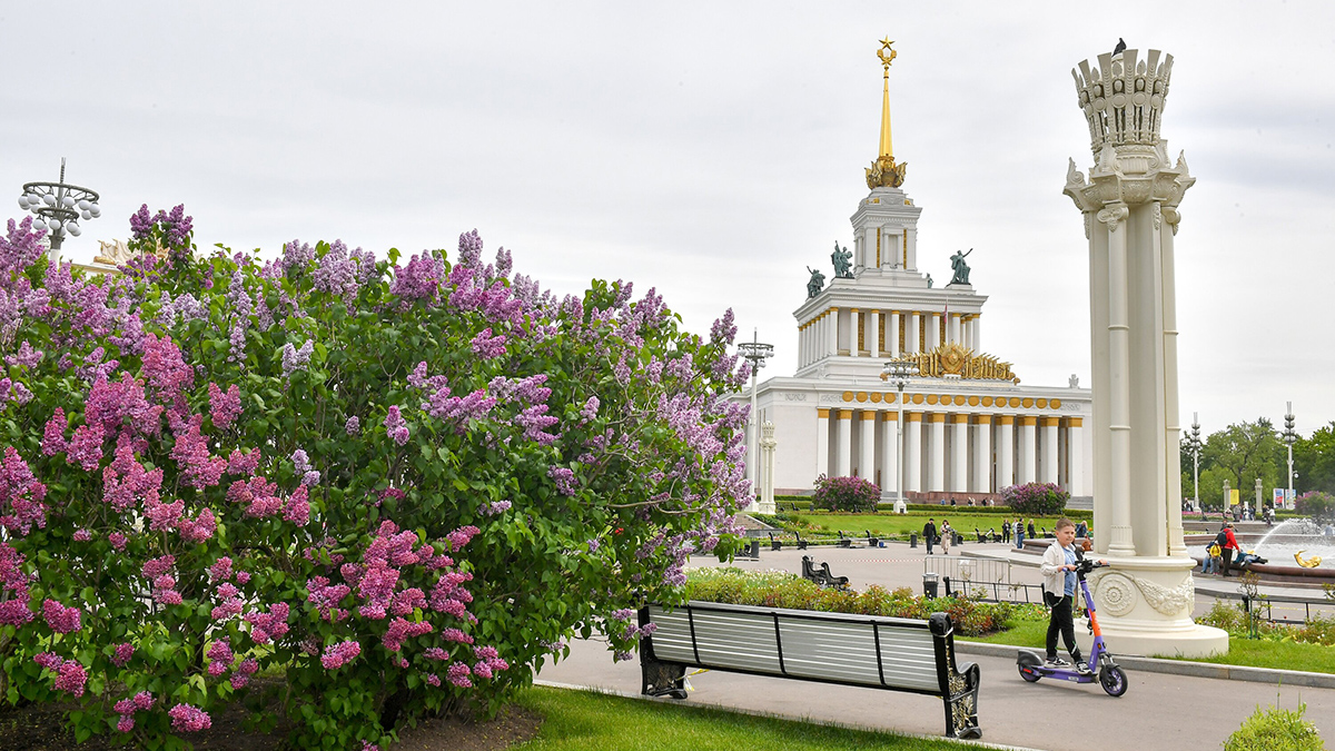 Синоптики заявили, что метеорологическое лето придет в Москву с опозданием