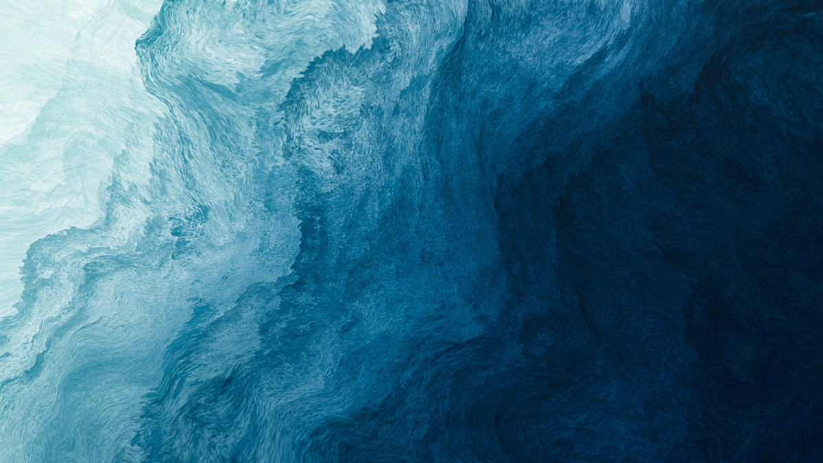 Компания OceanGate после гибели экипажа батискафа «Титан» приостановила коммерческую деятельность