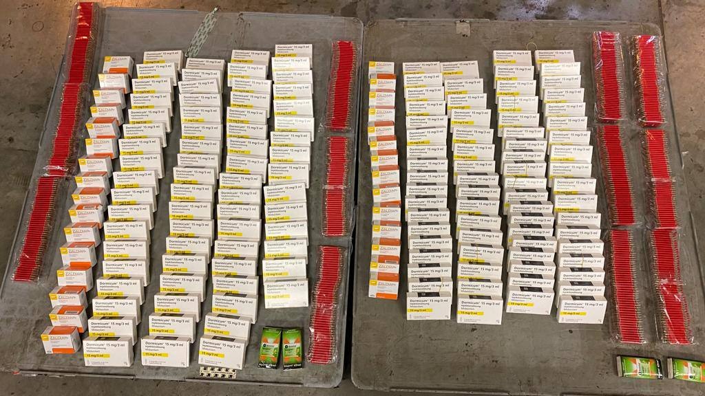 Партию психотропных веществ, найденную таможенниками во Внукове, перевозили в коробке с печеньем