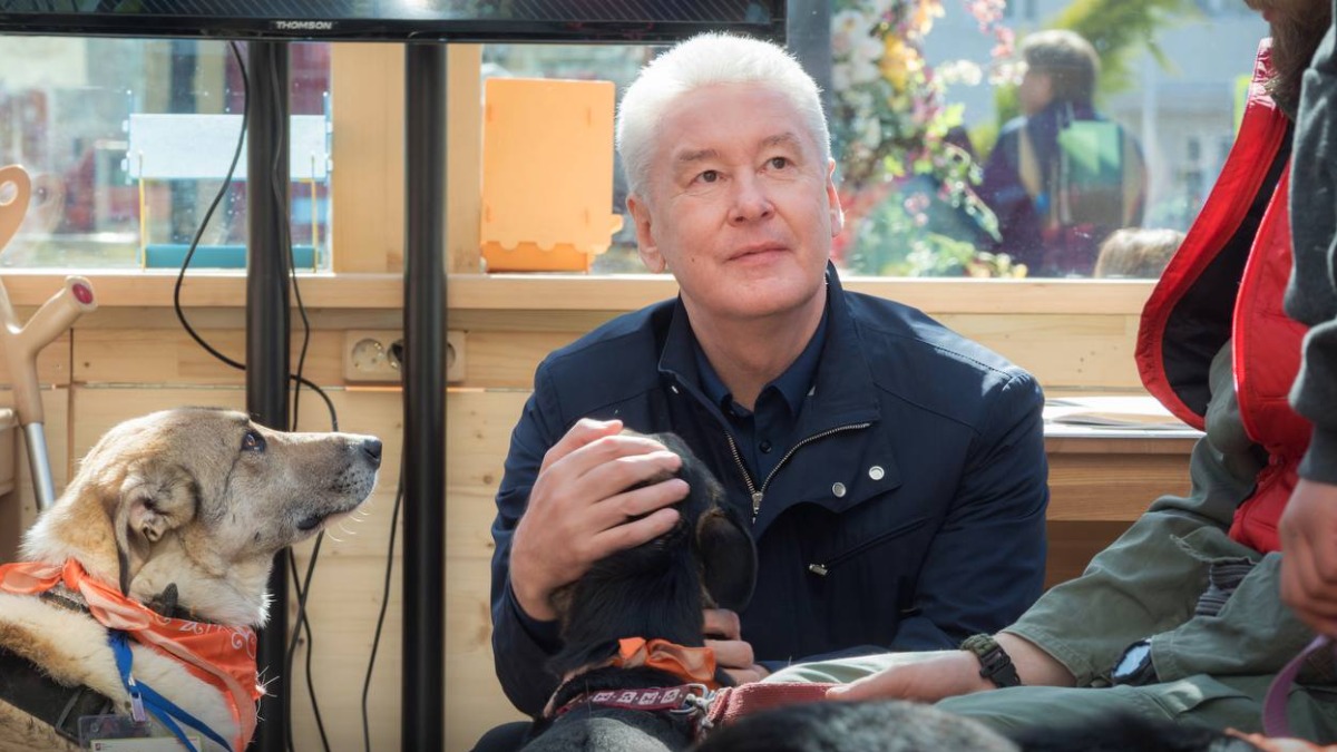 Собянин: Этим летом москвичи смогут бесплатно привить собак от бешенства на площадках для выгула