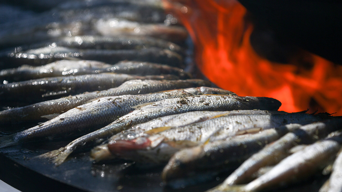 Мастер-классы и скидки ждут гостей рынков «Москва — на волне» ко Дню города