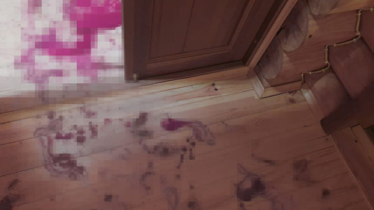 Подросток приехал на каникулы к родственникам в Подмосковье и попытался их убить