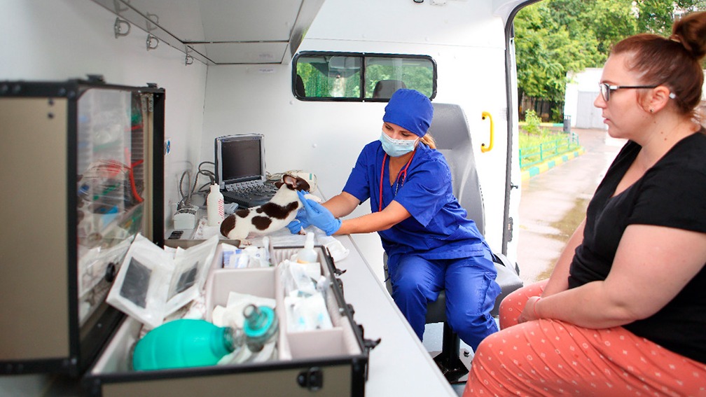 Парк спецавтомобилей ветпомощи вдвое увеличился за 12 лет в Москве