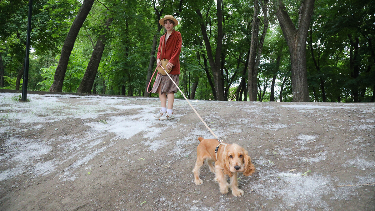 Синоптики сообщили жителям Москвы о потеплении и сухой погоде 4 июня