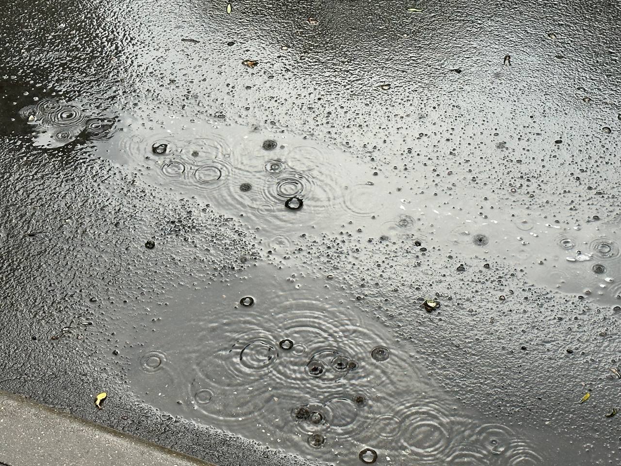 Эксперт Толмачев рассказал, что делать после протечки крыши из-за дождя