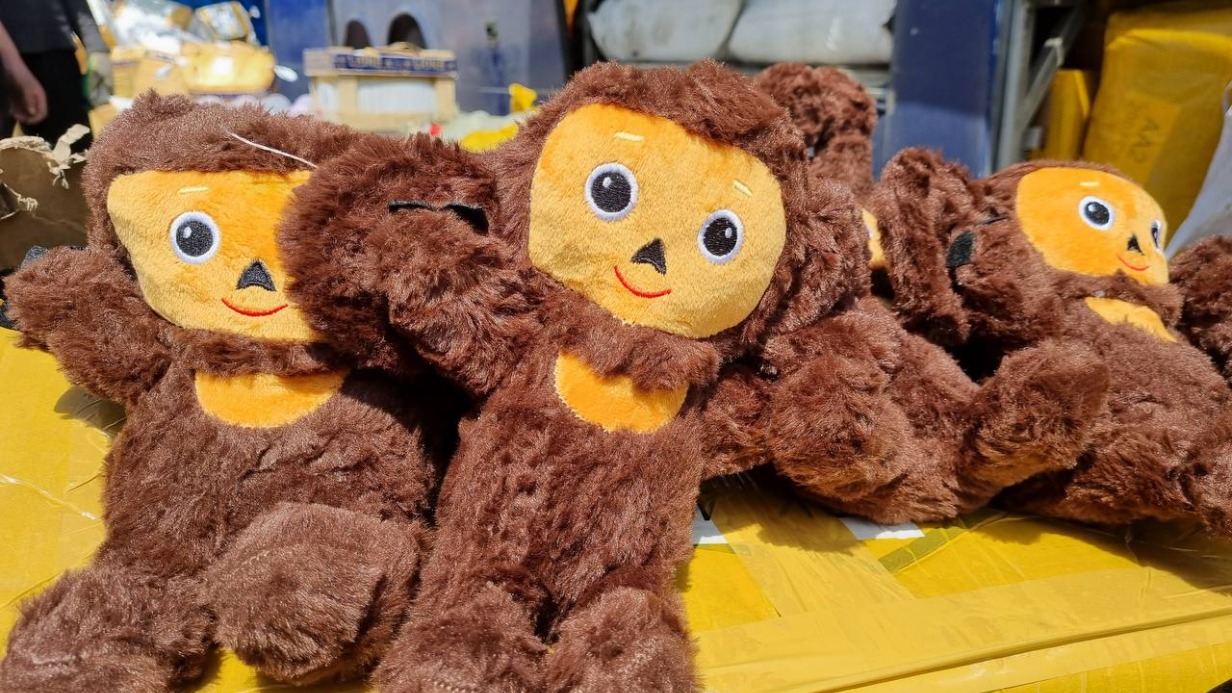 Сотню контрафактных Чебурашек обнаружили таможенники в автобусе, следовавшем из Москвы в Пятигорск