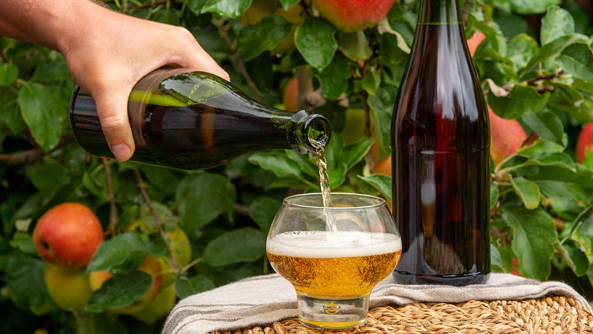 Число умерших от отравления сидром в Ульяновской области достигло 16 человек